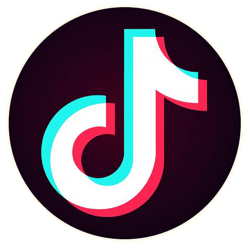 TikTok Icon