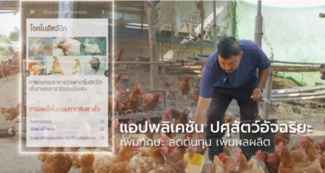 แอปพลิเคชั่นปศุสัตว์อัจฉริยะ เพิ่มทักษะ ลดต้นทุน เพิ่มผลผลิตบริหารจัดการฟาร์มปศุสัตว์ให้มีประสิทธิภาพและรวดเร็วยิ่งขึ้น